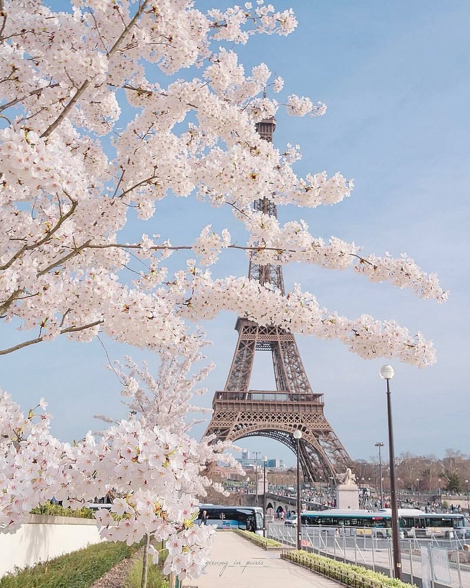 PrettyCitiesX's tweet photo. Paris, France 🇫🇷 https://t.co/EC6cAAzrK4