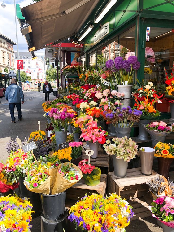 Flowers (@flowers489) on Twitter photo 