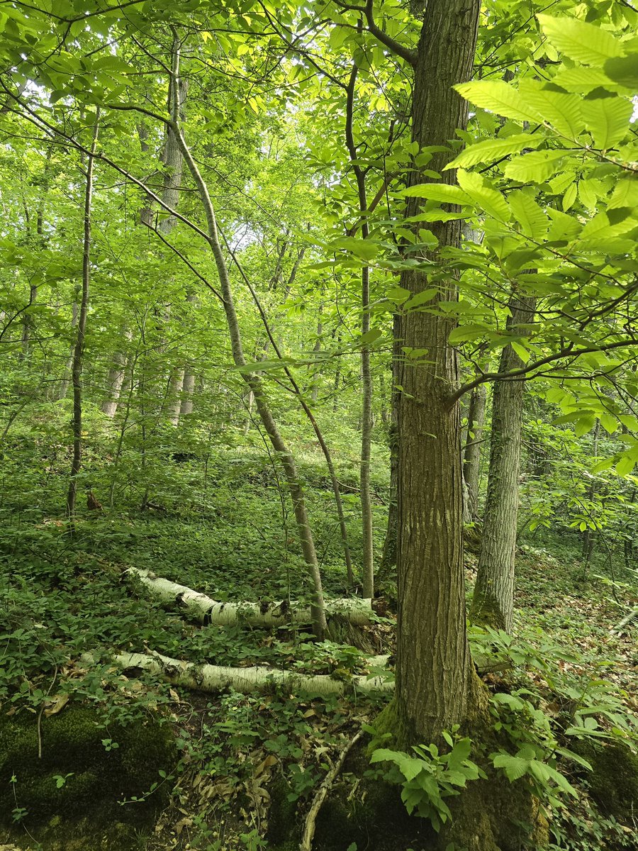 Bonjour, très belle semaine