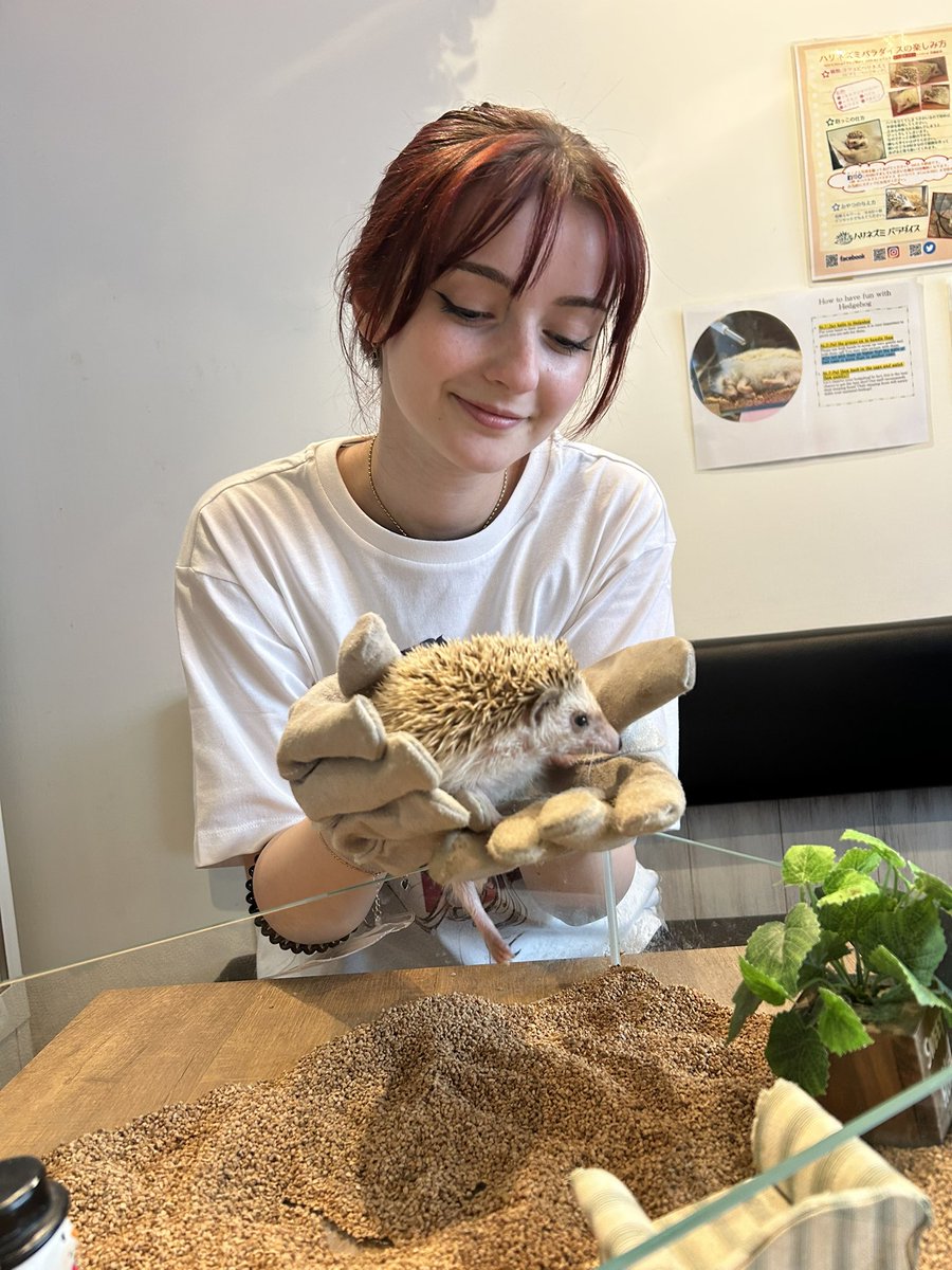 Do NOT show Smirk a fire hydrant…