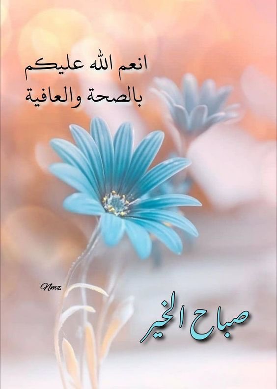 صباحك ورد
