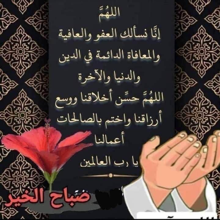 محمد منصور (@mmansourf16) on Twitter photo 