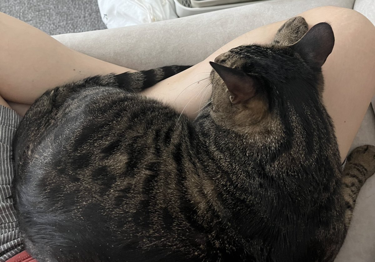 저 뜨개 해야 하는데..