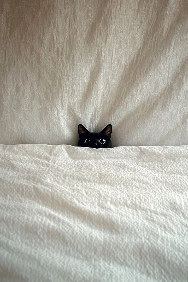 Solithra's tweet image. 