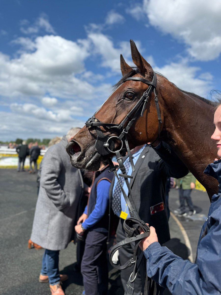 🟣⚪️ BELLE LE GRAND ⚪️🟣 runs today in the 2.20pm at <a href="/Cartmelrace/">Cartmel Racecourse</a> 🐎 

<a href="/harryskelton89/">Harry Skelton</a> rides 🤞🏻 

<a href="/DSkeltonRacing/">Dan Skelton Racing</a>