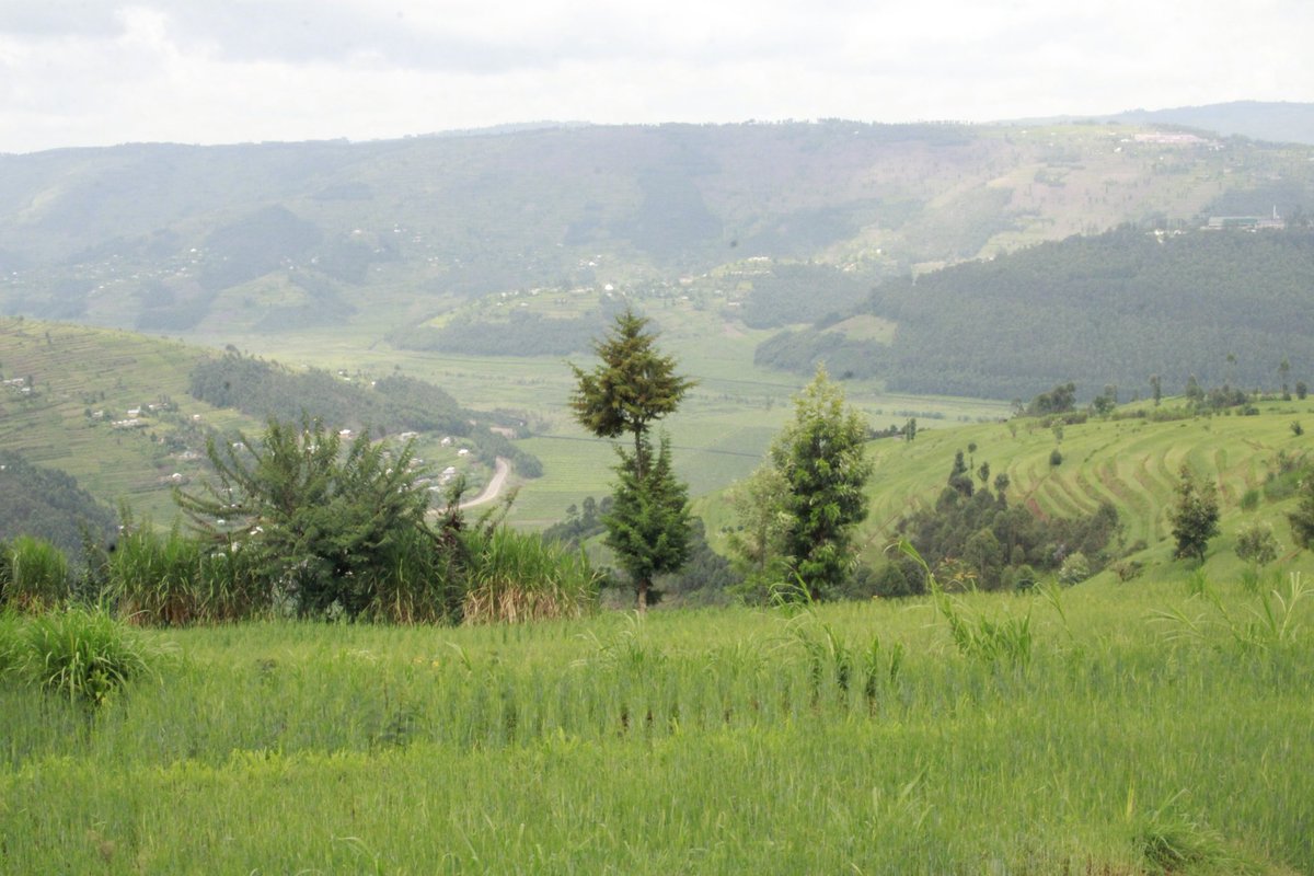 EricGeorgehare's tweet photo. @InganjiGreen @GicumbiDistrict @RwandaAgri @RwandaAgriBoard @REMA_Rwanda @ryaf_agribiz @HeiferRwanda Good news for young people. Can you provide us with your contact information and address? Of course, you have to work to develop and become wealthy. Combating climate change is essential for the entire population. @RwandaAgri @EnvironmentRw @REMA_Rwanda @femagaz @UNEP_Francais https://t.co/wQndXYVJqA