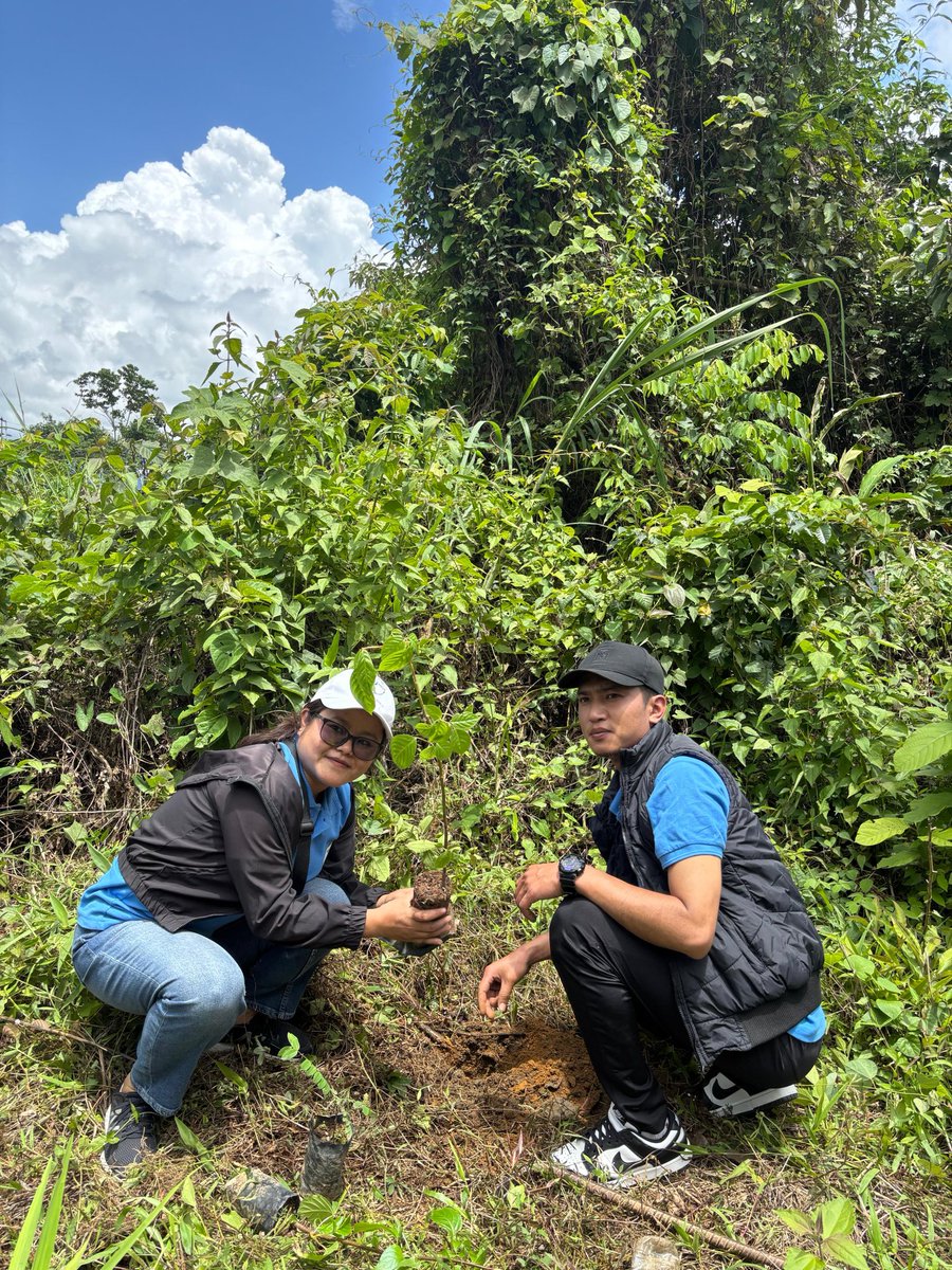 nssofodaizawl's tweet photo. Plantation drive of RO Aizawl on 23.05.2025 https://t.co/W7p0fdyZck