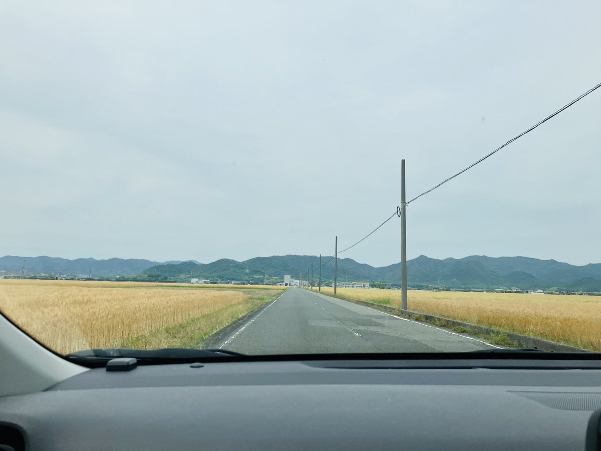 benriyasai's tweet photo. #三笠産業 #nacona 

ひよこ豆ぴよ🐣

なかなか見ることがない、麦畑🌾
山口県が誇る小麦『せときらら』

近くで見たのが初めてだったので感動しました🥹

最近、なかなかポストできずすみません、、💦
ひよこ豆、元気に頑張っております🐥 https://t.co/eVarKsRFQG