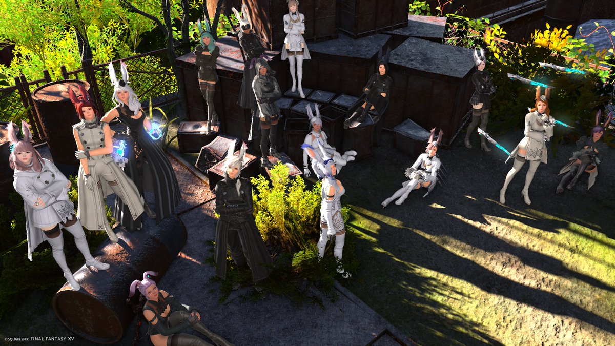 こんにちはぁ🐰

昨夜はニーアミラプリで行くサレタ撮影会に参加～✿·͜·ᰔ装備と色も白か黒だったので統一されててかっこよかった😍
参加者の皆さんお疲れ様でした✨

今日も頑張ろー୧⃛(๑⃙⃘·࿁·๑⃙⃘)୨⃛
 #コノハナで行くサレタ
 #コノハナウサコヒメ