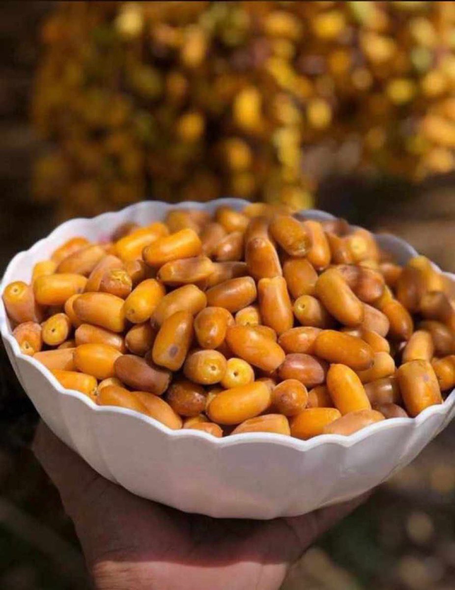 ﮼مِـجَرَدُ﮼ذٌوُق💌 tweet media