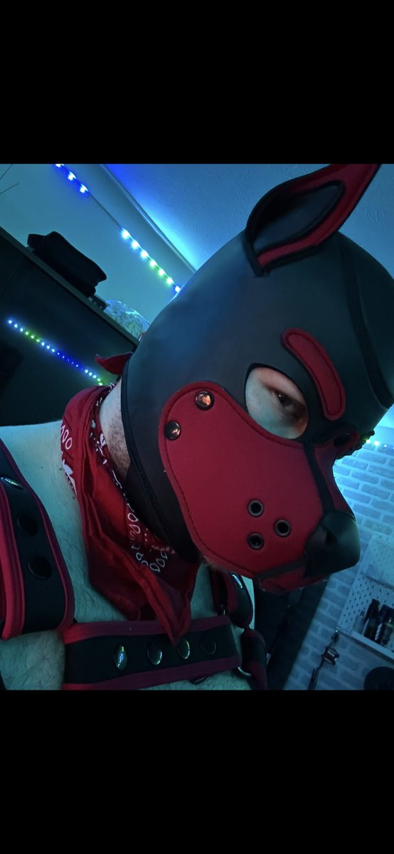 Headpats pls 👉🏻👈🏻