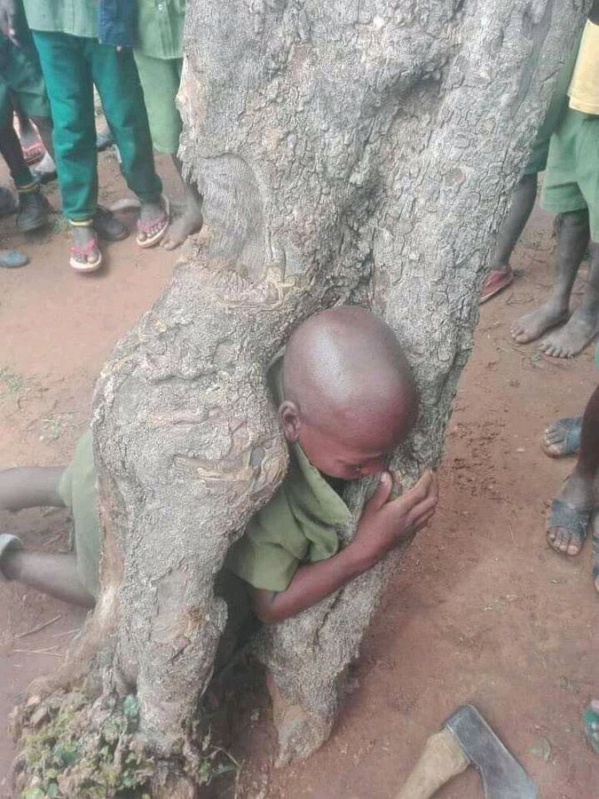 first son 🇷🇼 🇺🇬 tweet media