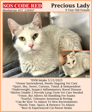 Peter Askin tweet media