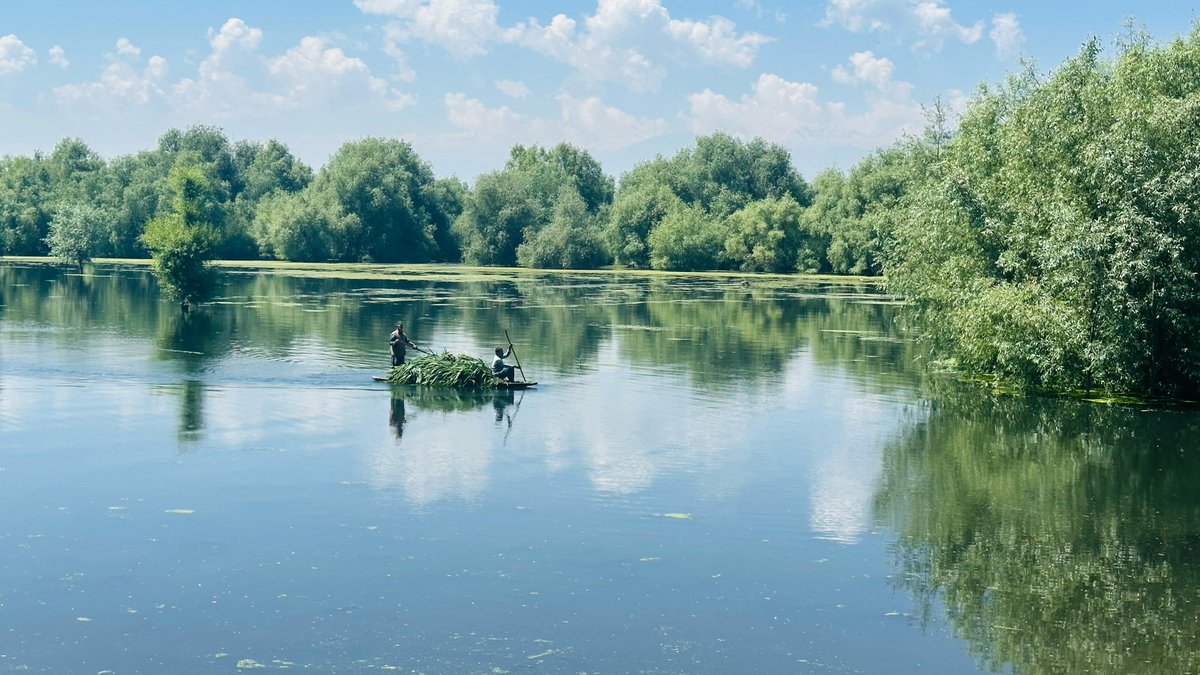 RoohbhatB's tweet photo. A journey wrapped in green.
#Kashmir #Lake #Green https://t.co/aNSCHCCE5M