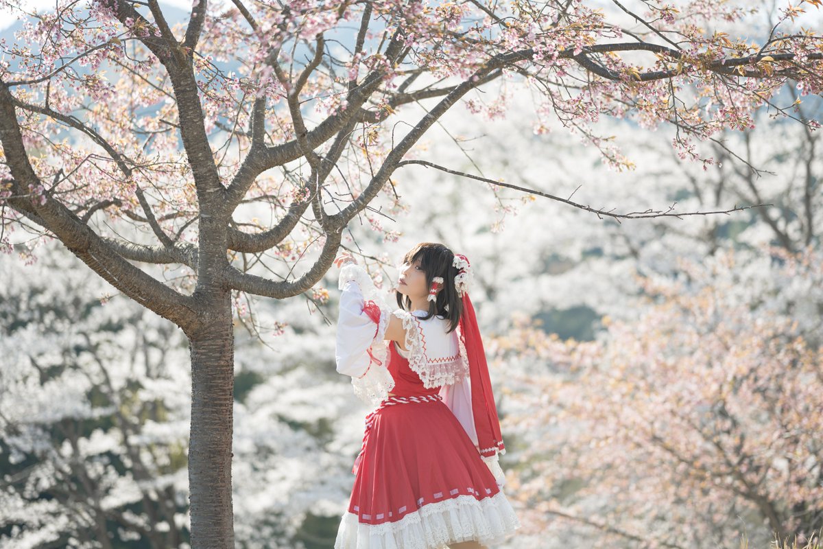 幻想郷の巫女　

cosplay｜博麗霊夢
#虎山弐千本桜 #コスBON