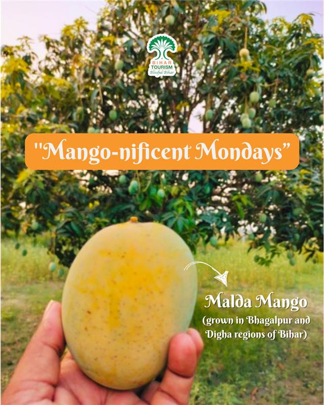 TourismBiharGov's tweet photo. It's mango season, and Bihar's bounty is here! 🥭 Juicy, sweet, and utterly irresistible. What's your favorite way to enjoy this golden delight?
#Bihar #IncredibleIndia #mangomonday #Blissfulbihar #viral #ExploreMore #SummerVibes
@incredibleindia @tourismgoi @MLARajuSingh https://t.co/xQDlye83nB
