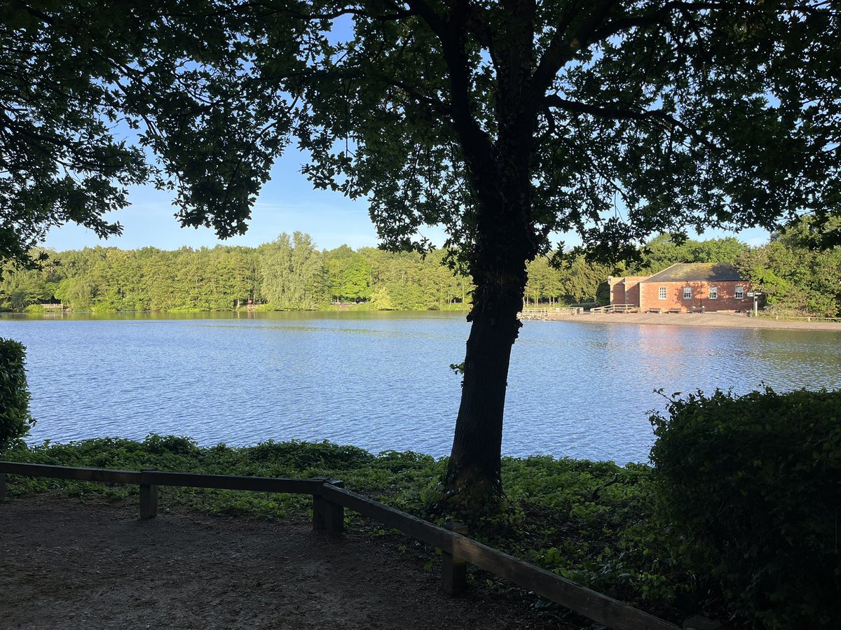 You can’t beat starting your day.

With a steady run.

Around a beautiful lake.

With just the sounds of water &amp; birds.

A chance to clear your head &amp; organise your thoughts.

Your best thoughts and ideas reveal themselves when your head is clear.

Have a good day everybody!