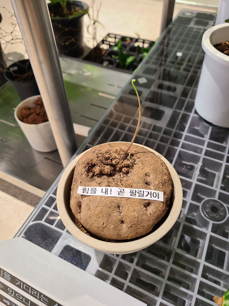 이력서 열람은 하고 떨어뜨려줘..🥲