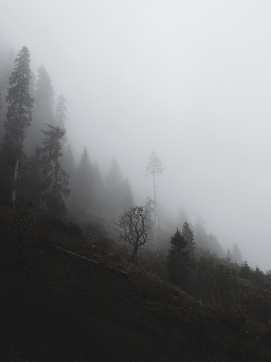 Gm from the mist