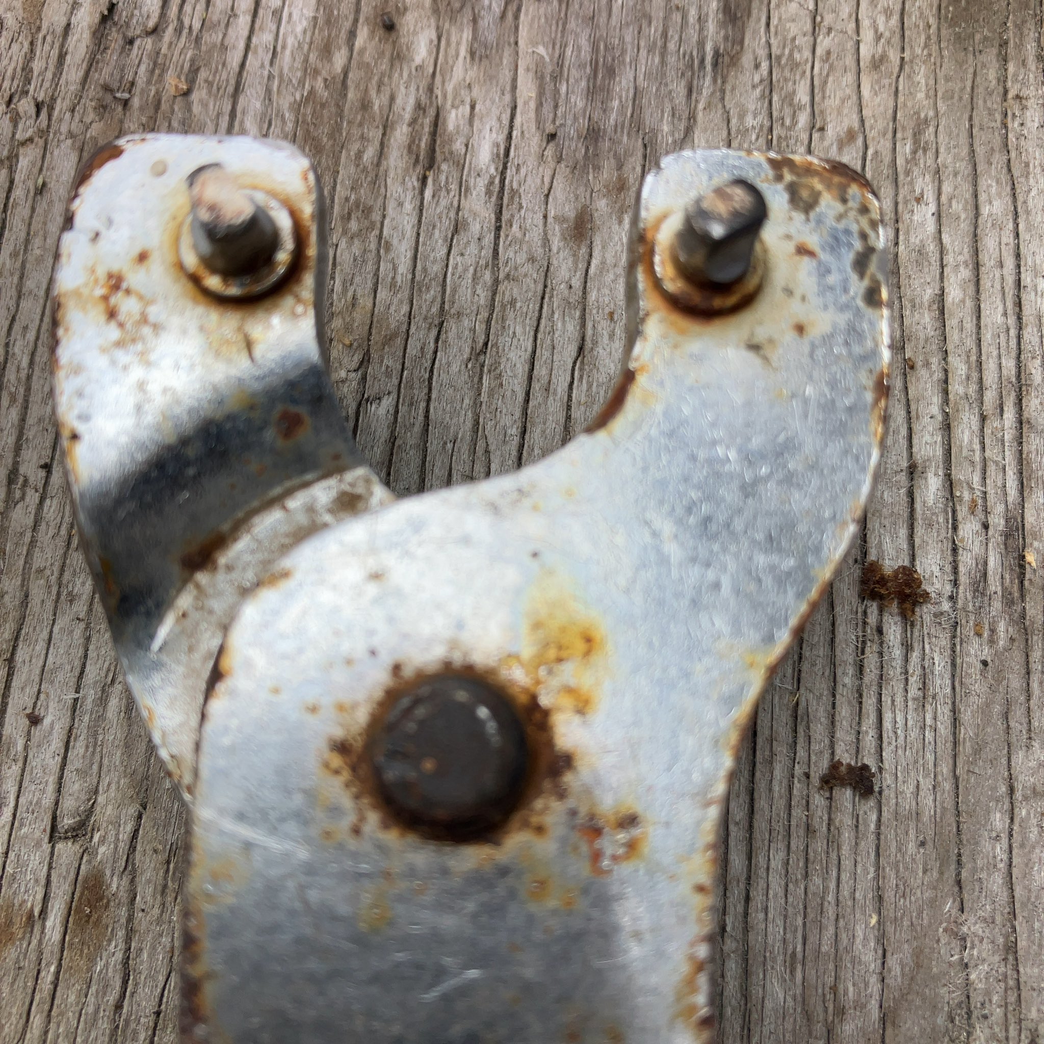 おさるです♡ おさる (@Hehehe33) / X