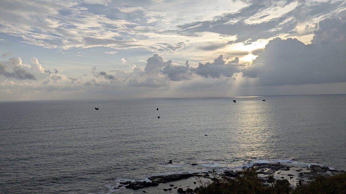 _10tejas's tweet image. A vantage point 🏞️
#Goa #CliffView #TeamPixel #ShotOnPixel #MadeByGoogle