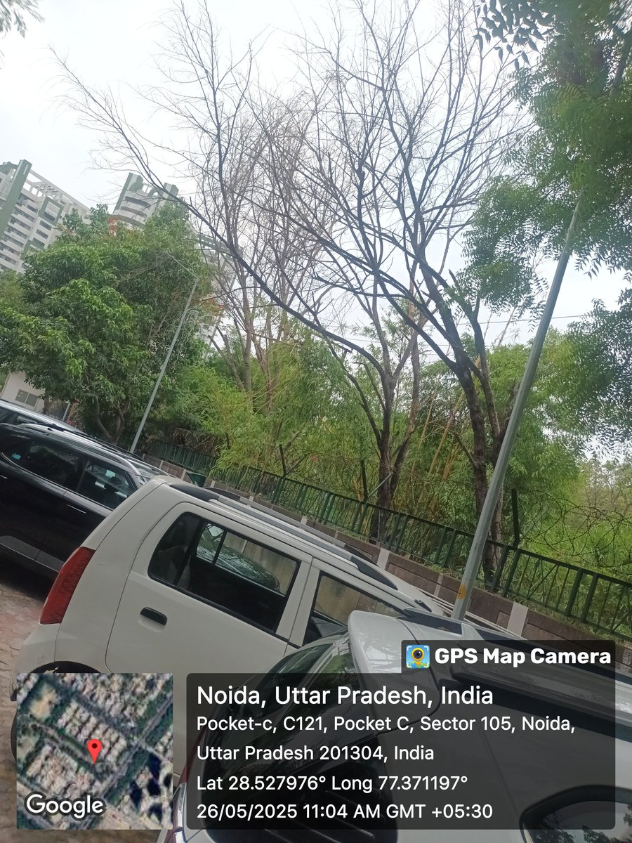 PRADEEP20223362's tweet photo. @noida_authority @CeoNoida पॉकेट सी सेक्टर 105 प्लस पार्क की दीवार के साथ कुछ पेड़ पिछले गर्मी से सुख खड़े हैं  जो आंधी तूफान में टूट कर प��र्किंग में खड़ी गाड़ियों पर गिर जाते हैं कृपया सुखो पेड़ों को हटाने के साथ दीवार से लगे पेड़ों की छटाई कराने की कृपा करें धन्यवाद https://t.co/VnNruvwueX