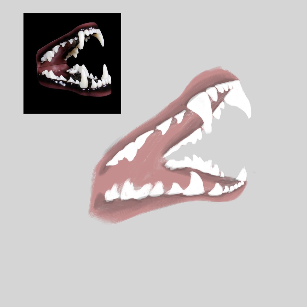 Quick study
#furryartist #furry