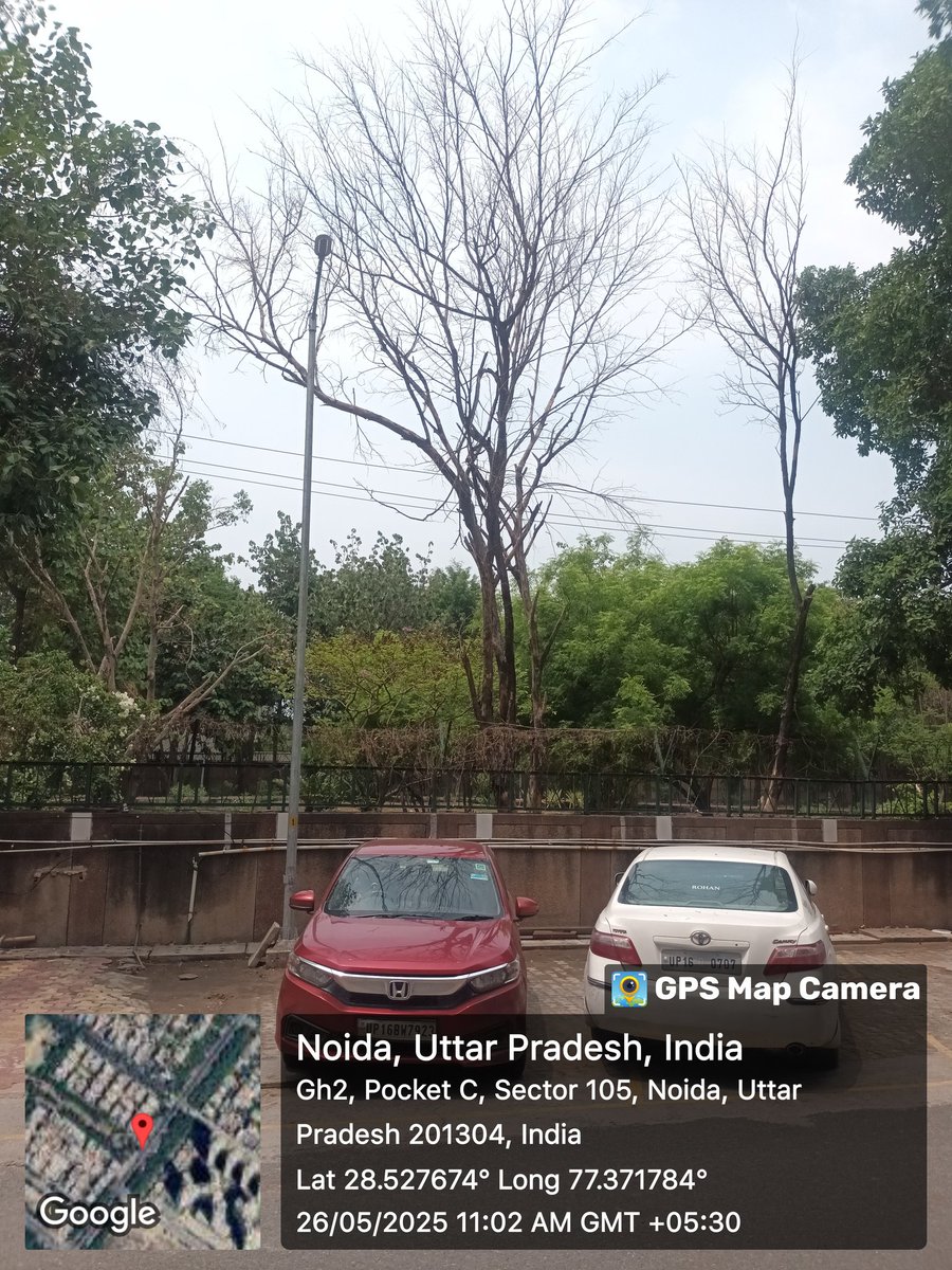 PRADEEP20223362's tweet photo. @noida_authority @CeoNoida पॉकेट सी सेक्टर 105 प्लस पार्क की दीवार के साथ कुछ पेड़ पिछले गर्मी से सुख खड़े हैं  जो आंधी तूफान में टूट कर प��र्किंग में खड़ी गाड़ियों पर गिर जाते हैं कृपया सुखो पेड़ों को हटाने के साथ दीवार से लगे पेड़ों की छटाई कराने की कृपा करें धन्यवाद https://t.co/VnNruvwueX