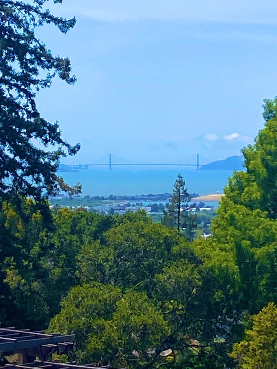 hamsanandi's tweet image. #Berkeley #TildenPark