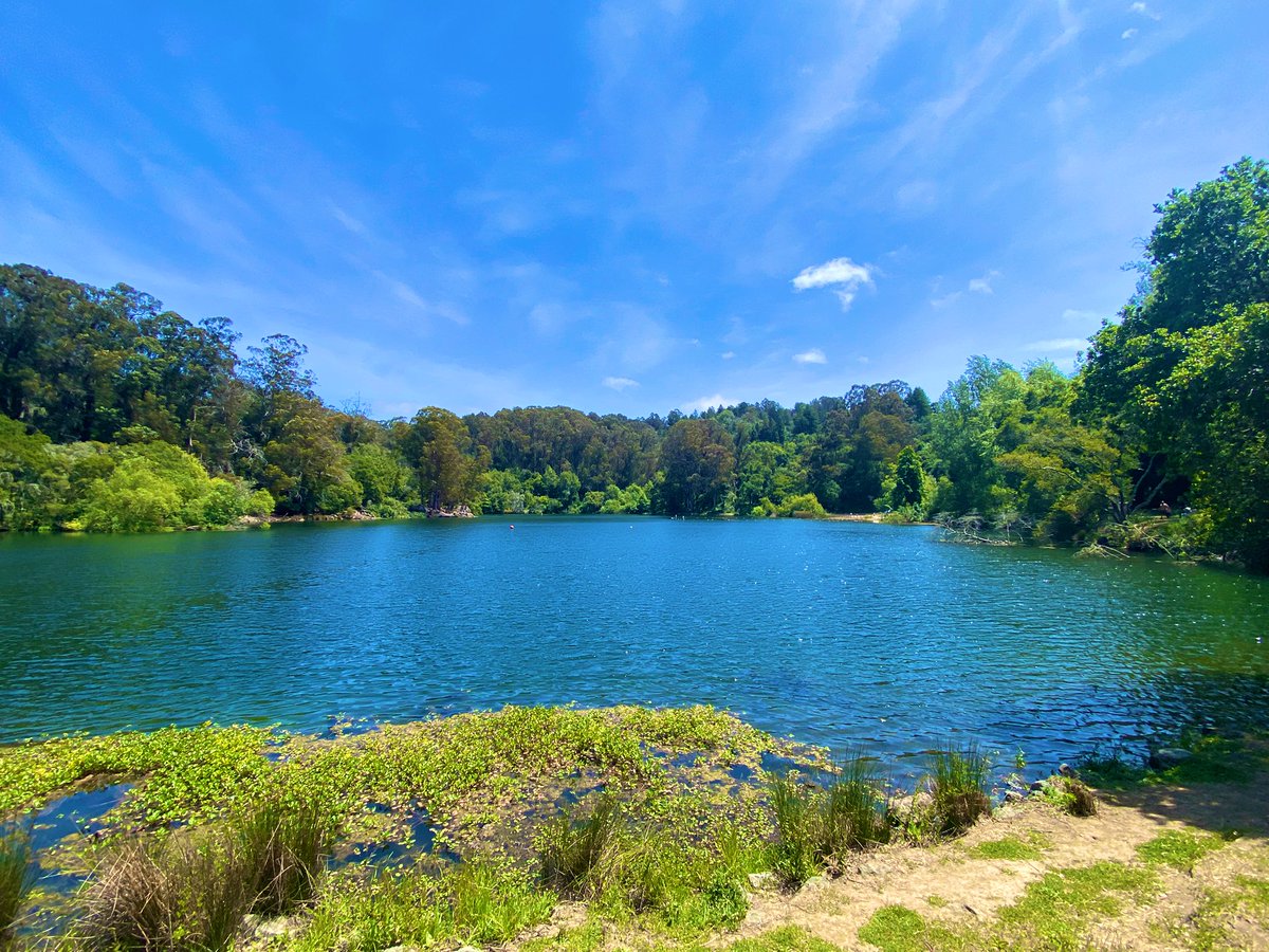 hamsanandi's tweet image. #Berkeley #TildenPark