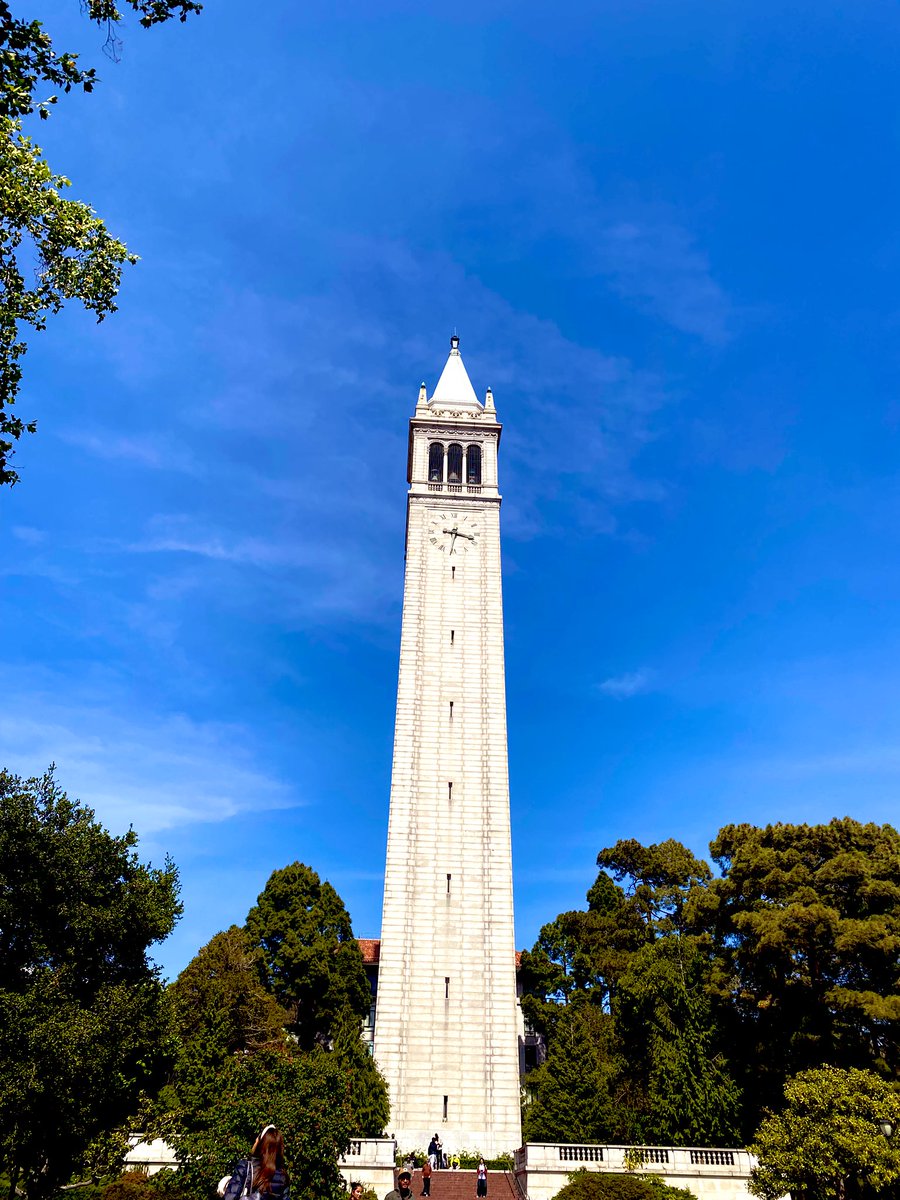 hamsanandi's tweet image. #Berkeley #TildenPark