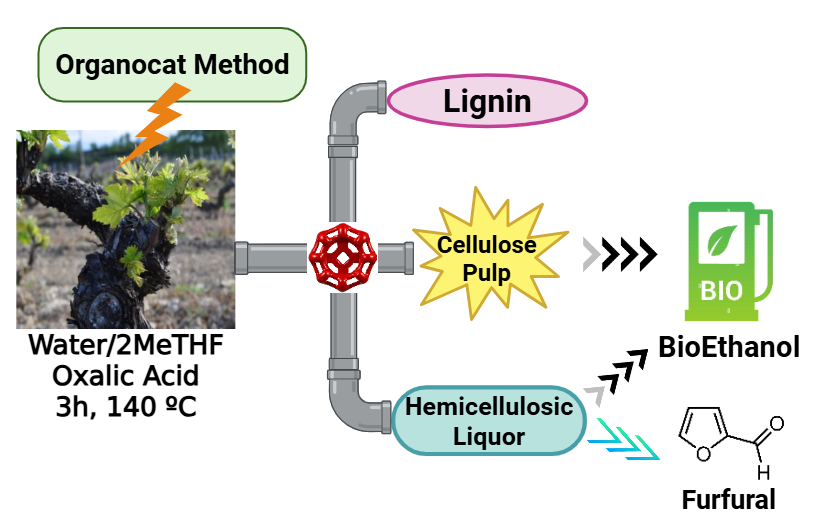 New paper out! 🍇 OrganoCat fractionation of vine shoots for bioethanol, furfural &amp; lignin. A great collaboration with <a href="/ujaen/">Universidad de Jaén</a> &amp; <a href="/CIEMAT_OPI/">CIEMAT</a> !
👉 doi.org/10.1016/j.indc…
#Bioeconomy #Biorefineries #OrganoCat