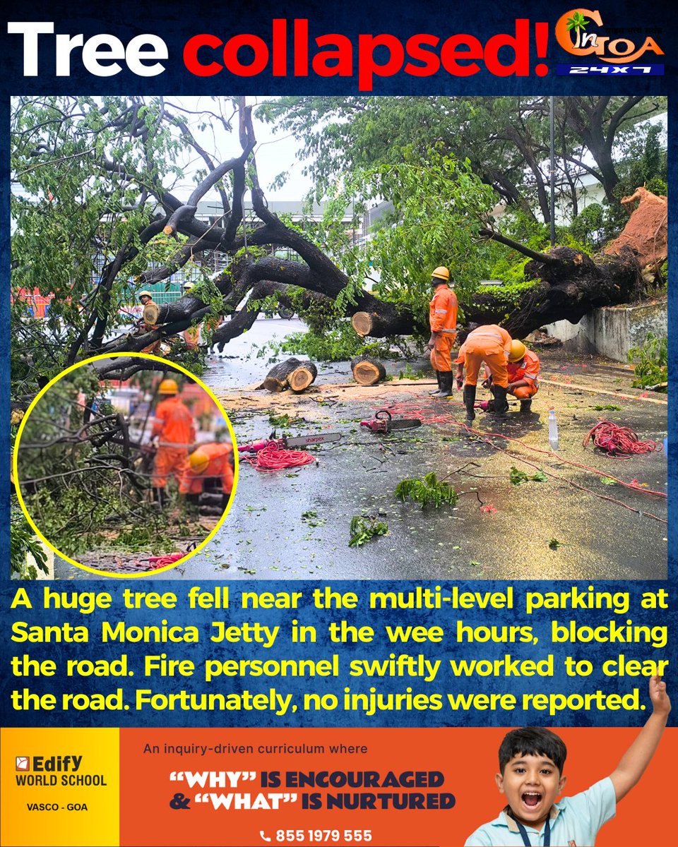 InGoa24x7's tweet photo. A huge tree fell near the multi-level parking at Santa Monica Jetty in the wee hours, blocking the road. Fire personnel swiftly worked to clear the road. Fortunately, no injuries were reported.
#Goa #GoaNews #HugeTree #Collapsed #SantaMonicaJetty https://t.co/QvClX6PVAX