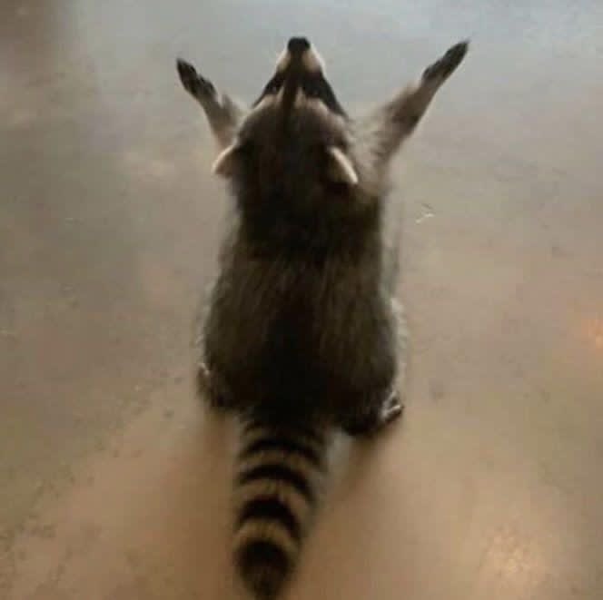 Had my 30th birthday yesterday. Getting there was a ride full of challenges, some harder than others. 10 years ago I thought I would not reach that age and would be gone before for many reasons, but holy shit, I made it. Kids will now call me a dinosaur online, crazy.