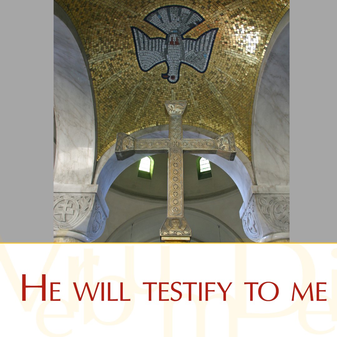 Gospel of the Day (John 15:26—16:4a)

Jesus said to his disciples:
"When the Advocate comes whom I will send you from the Father,
the Spirit of truth who proceeds from the Father,
he will testify to me."
