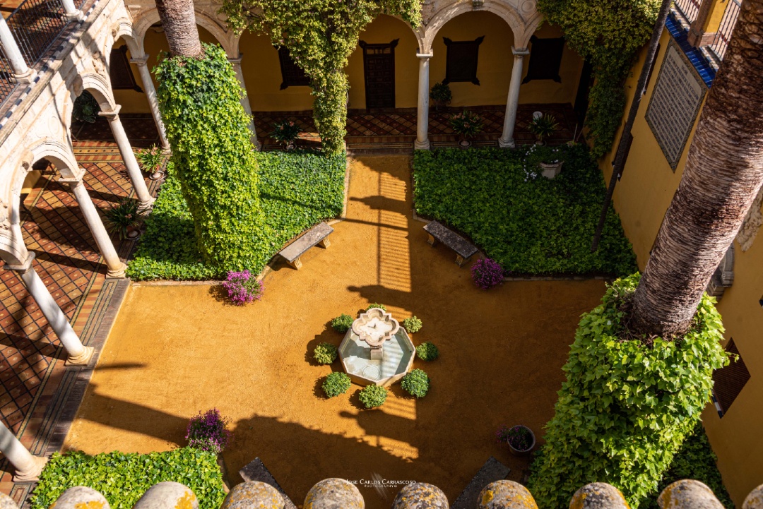 EventosMonclova's tweet photo. 🏰 Castillo de la Monclova, Fuentes de Andalucía, Sevilla
🌸La primavera no se esconde en nuestro castillo.

🌟En plena campiña sevillana se alza el Castillo de la Monclova, declarado B.I.C.

📷 @sevillanism @kurkonirvanism

#CastilloDeLaMonclova #sevilla #castlesofspain #seville https://t.co/EeWQWPuEdH