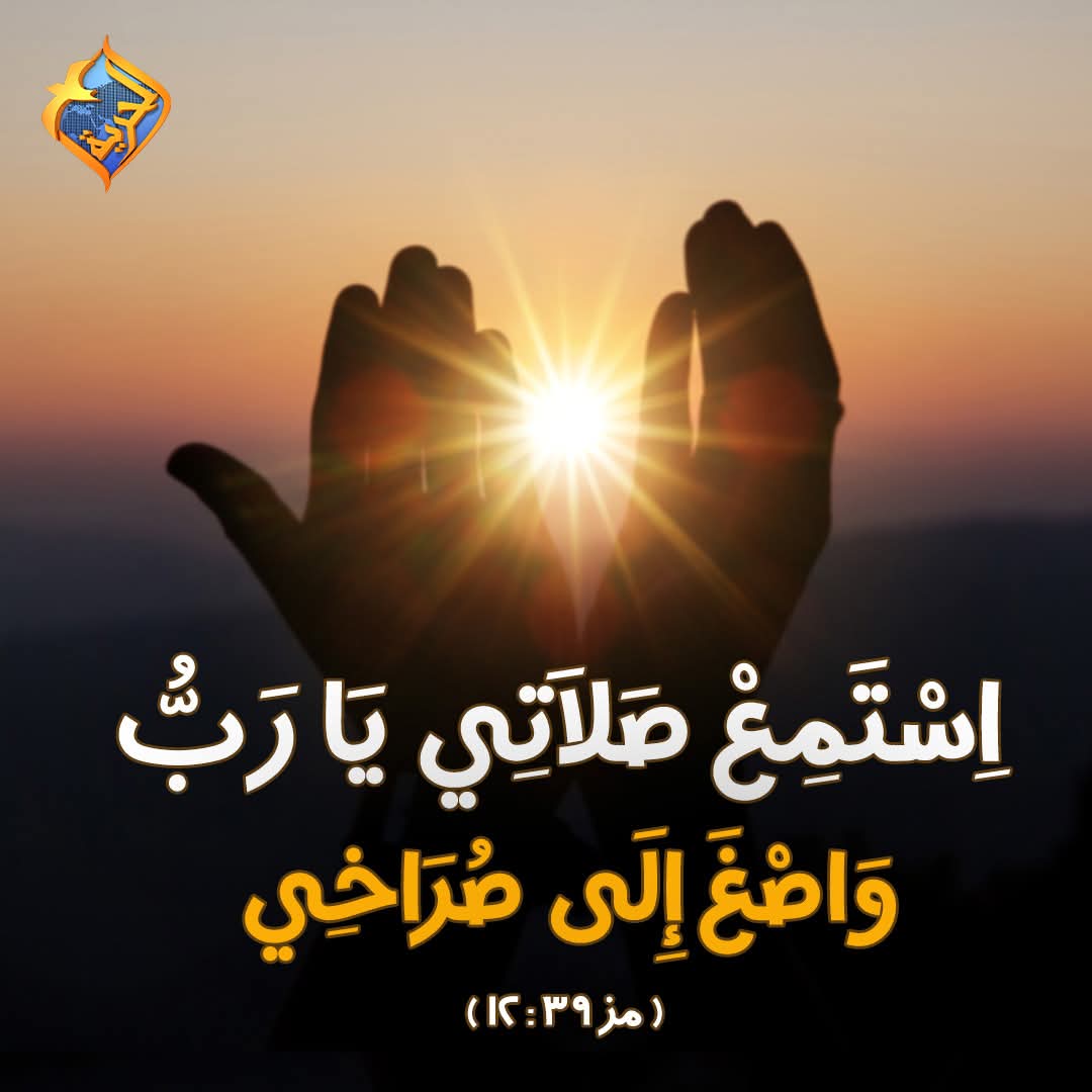 george abdalla ❤️ (@georgeezzat18) on Twitter photo 