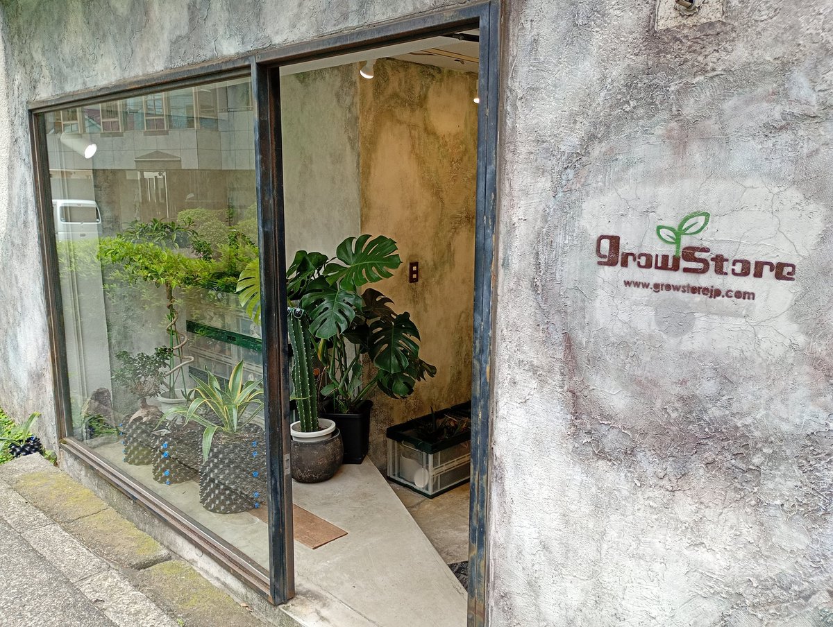 zounotamago1982's tweet photo. 恵比寿にございますgrowstoreは現在撤退作業中🙏
新店舗は下北沢となります！
今後ともよろしくお願いします。
#恵比寿 #growstore #観葉植物　#オーガニック　#下北沢 https://t.co/Ii7jCSair3