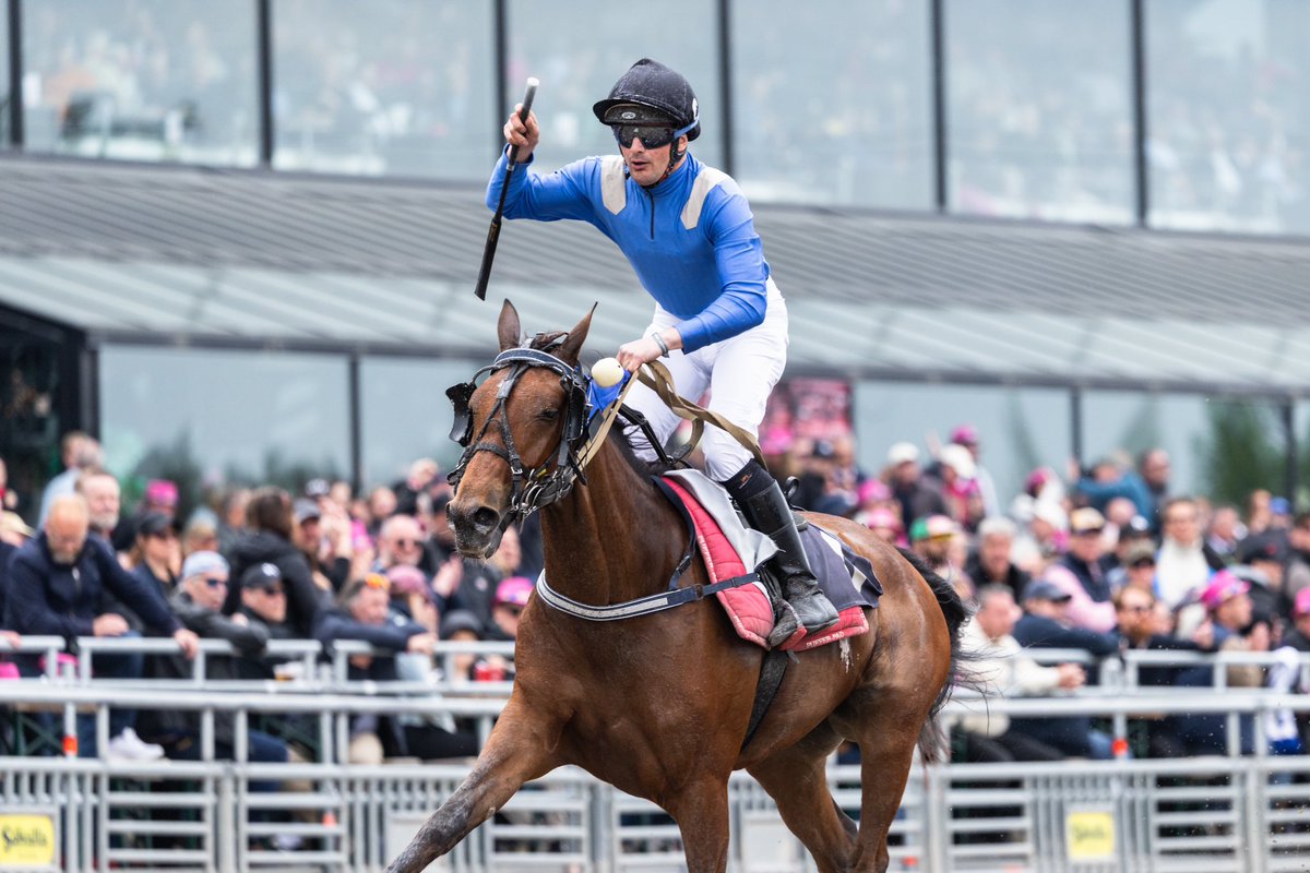 Kerry Love!🤩 Montéeliten!🔥🥇Vilken dag igår! Kerry Love såg till att vi tillsammans kunde vinna Montéeliten på Solvalla efter en strålande prestation. Vinna för min gode vän Mathieu Mottier som tränar känns extra speciellt, grattis till honom och ägare Luc Vanderhaegen!🏆