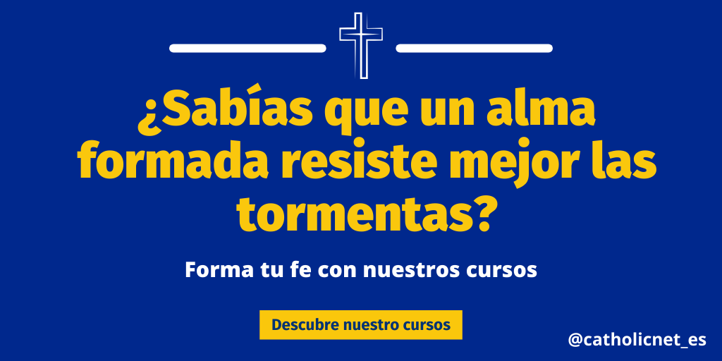 Catholicnet_es's tweet photo. Tu alma también necesita formación.

No dejes de crecer en la fe.

✨ Conoce nuestros cursos ▶️ https://t.co/sylPFifmh6

#CatólicoEnFormación #CatholicNet https://t.co/qGBHoC5jbQ