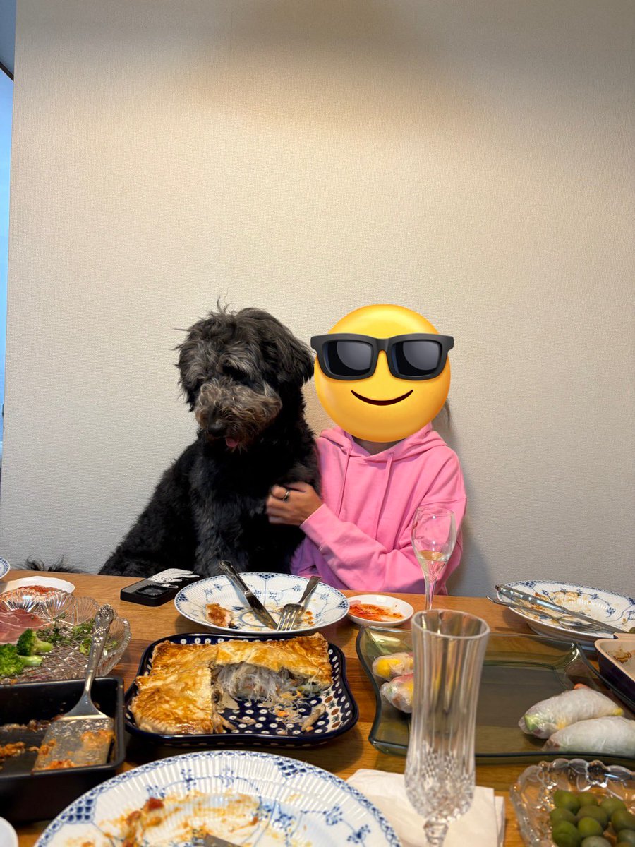 Milk_03's tweet photo. 実家ご飯のワンシーン…
人間みたい🐕 https://t.co/j2WMhirIeC