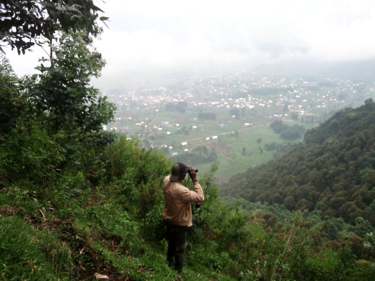 ExploreRda50's tweet photo. #Ibere rya #Bigogwe Hike, Dear fellow travellers.. nature walkers, hikers,don't miss our special hiking challenge towards Ibere rya Bigogwe and Mt Muhungwe 2days at #Nyabihu/ #Rubavu
Contact us: 0788466624
@visitrwanda_now / @RwandaisOpen
#TheThousandHillsAdventures https://t.co/XRTAOUhVxr