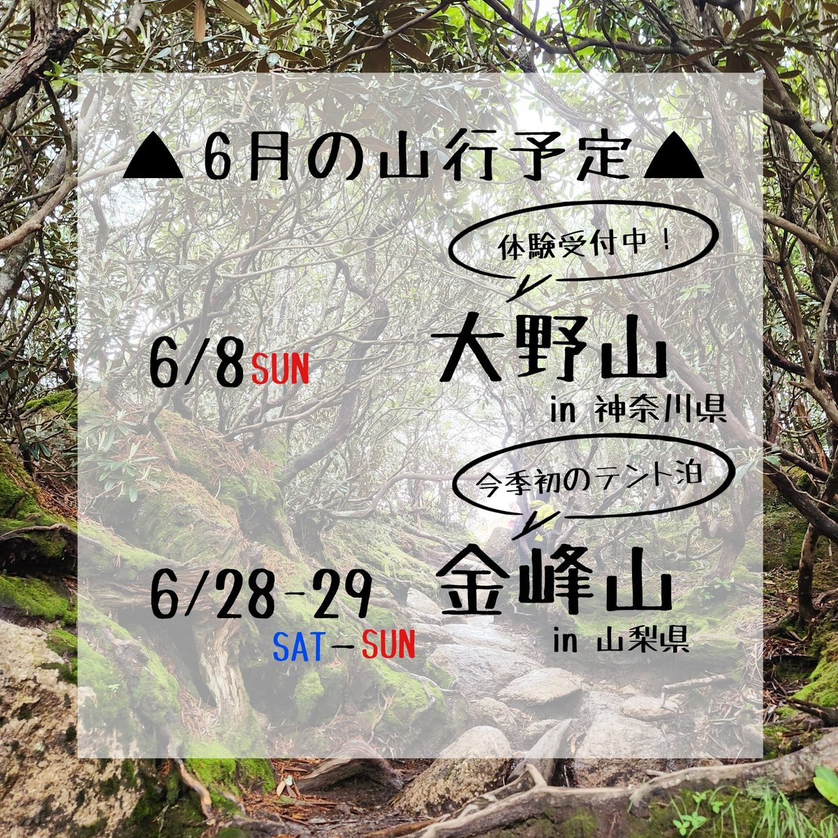 ⛰️6月の公式山行⛰️

6/8(日)　大野山　@神奈川県
✅️体験可能な山行です！

6/28-29(土-日)　金峰山　@山梨県
✅️今季最初のテント泊🏕

新入部員が多く入り、いよいよあるける同好会も本格始動です！！
天気に恵まれますように、、、🙏☀️

#あるける同好会 
#学習院大学
#学習院女子大学