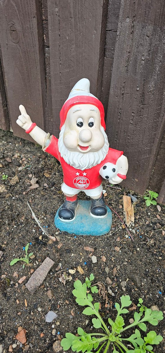 Good morning Dandies