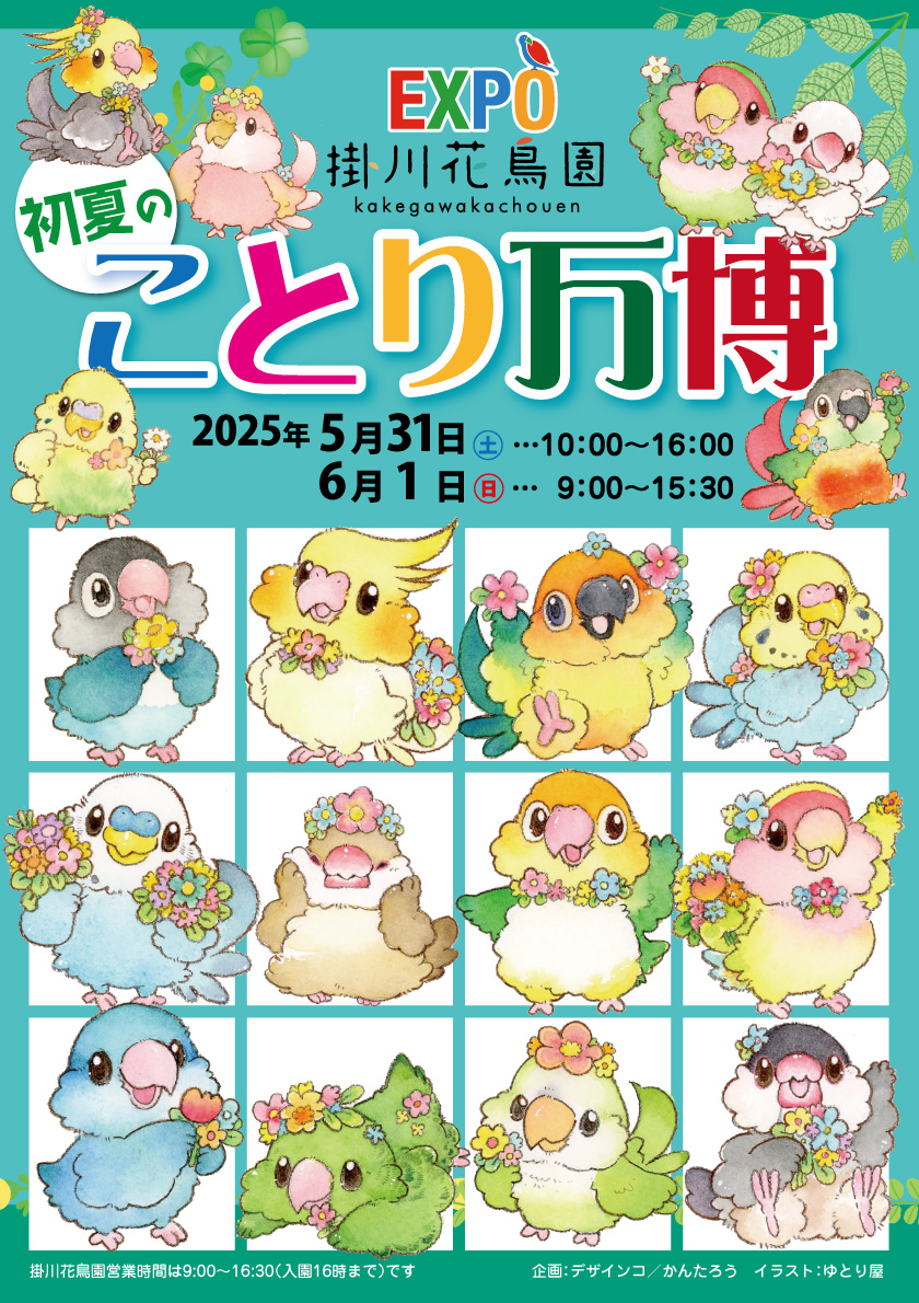 kantarow's tweet photo. いよいよ今週末となった掛川花鳥園「初夏のことり万博」
私、冬は「みかん屋」やってますが、この時期は「レタス屋」やります！
減農薬で作った鳥さんも飼い主さんも食べられるレタスを販売しまーす
ほかにも何か青菜類あるかも？
5月31日㈯・6月1日㈰は掛川花鳥園「#ことり万博」でお待ちしています https://t.co/NN6Y20HkT0