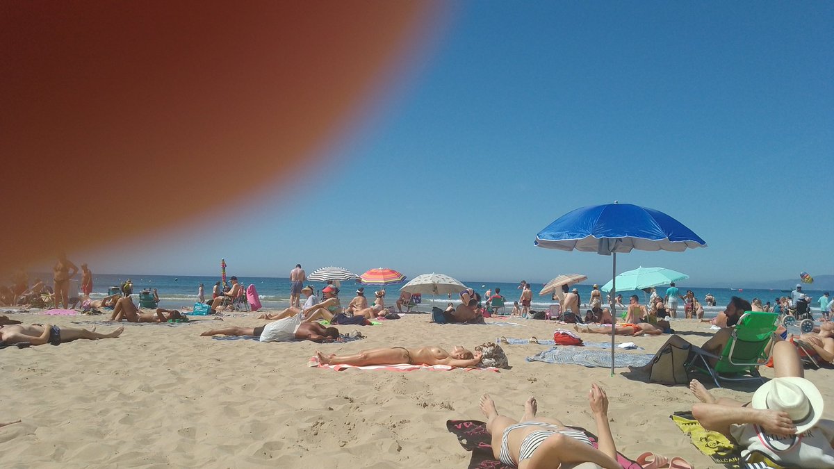 Henlo guys! Is Figo wiv holibob update. Mum just sent me diz pictur from da spainz. I finks that looks like a good sniffari. She sayz she has prezzie fur me...I hopes it is good