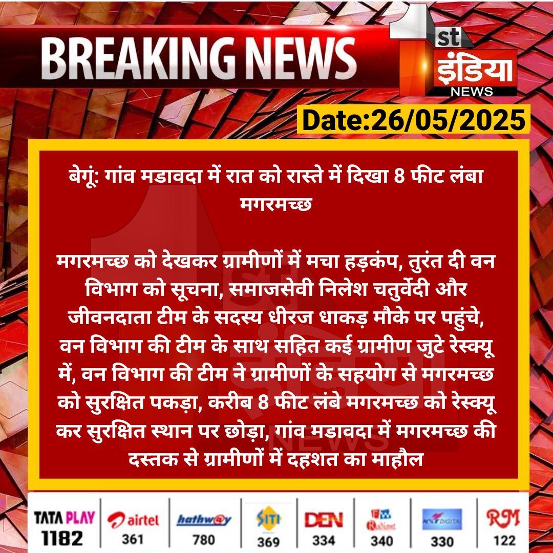 #Chittorgarh #बेगूं: गांव मडावदा में रात को रास्ते में दिखा 8 फीट लंबा मगरमच्छ

मगरमच्छ को देखकर ग्रामीणों में मचा हड़कंप, तुरंत दी वन विभाग को सूचना, समाजसेवी निलेश चतुर्वेदी और जीवनदाता टीम...

#RajasthanWithFirstIndia <a href="/ForestRajasthan/">Rajasthan Forest Department</a>