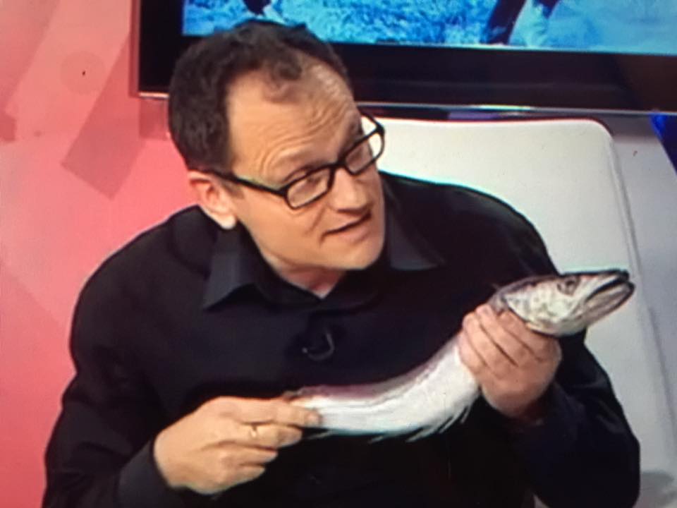 Hoy hace nueve años del día en que me di de bruces con los límites del humor. Propuse en un debate en CyLtv sustituir el Toro de la Vega por una merluza de pincho, mucho más saludable y sin cuernos. A Laura Duarte, de Pacma, le pareció "una broma de pésimo gusto".