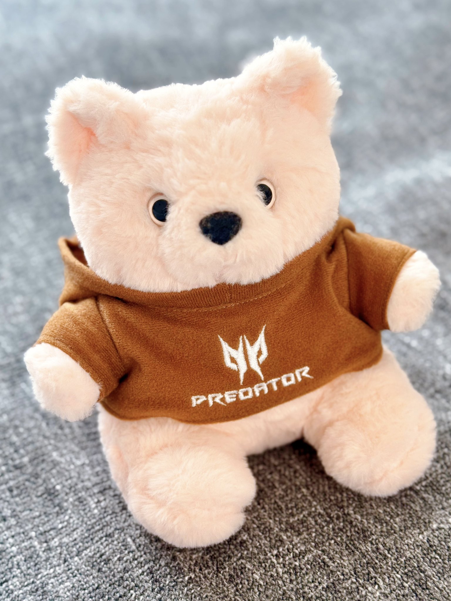 Predator Bear 📣🧸🔥 #AcerPlayMaster (@predator_bear) / X