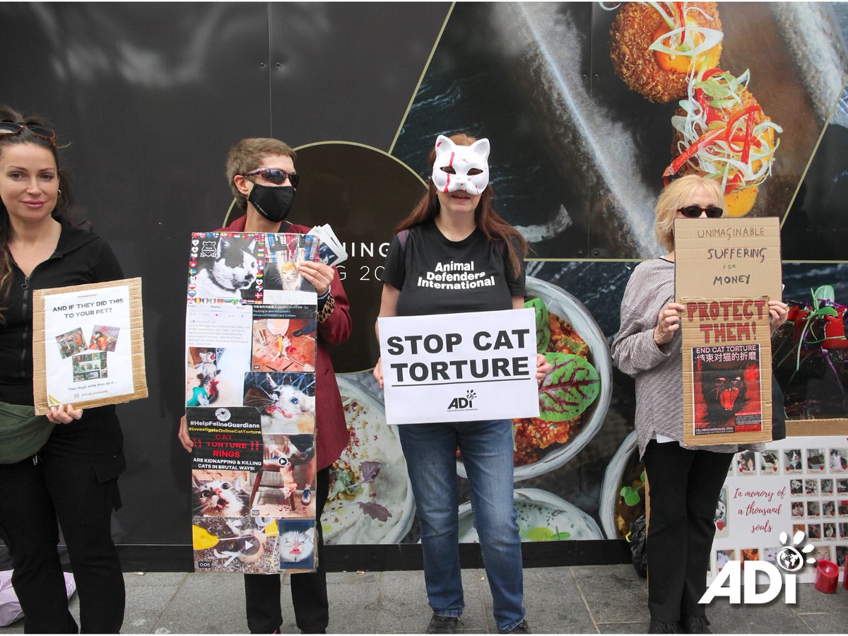 On May 18, ADI stood with animal advocates in the US, UK, and Colombia, as part of a global protest for cats tortured &amp; killed in China for horrific online videos. Thank you to everyone who stood with us &amp; around the world. #BeTheirVoice #HelpAnimals #StopChinaCatTorture
